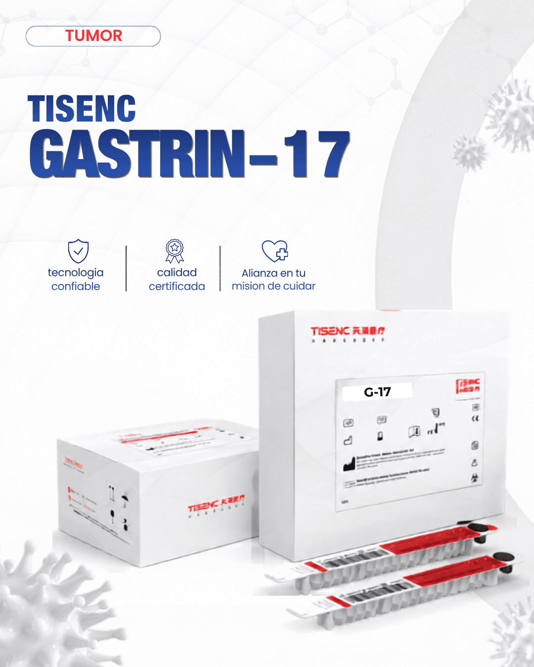 gastrin-17-tisenc.png
